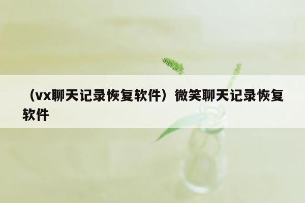 （vx聊天记录恢复软件）微笑聊天记录恢复软件