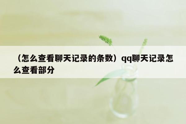 （怎么查看聊天记录的条数）qq聊天记录怎么查看部分