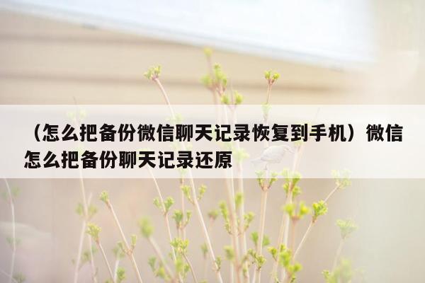 （怎么把备份微信聊天记录恢复到手机）微信怎么把备份聊天记录还原