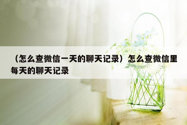 （怎么查微信一天的聊天记录）怎么查微信里每天的聊天记录