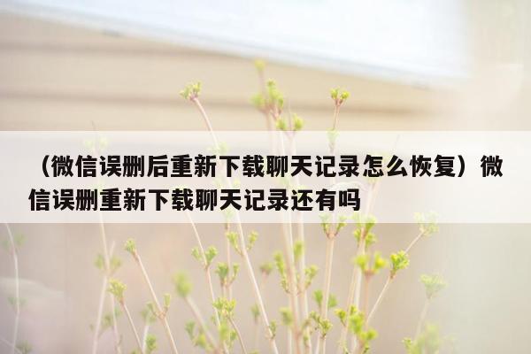 （微信误删后重新下载聊天记录怎么恢复）微信误删重新下载聊天记录还有吗