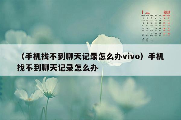 （手机找不到聊天记录怎么办vivo）手机找不到聊天记录怎么办