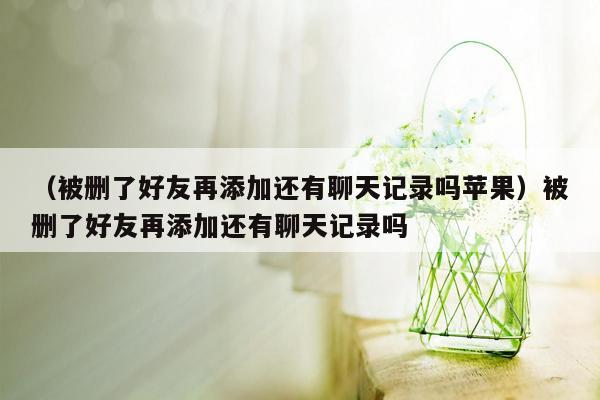 （被删了好友再添加还有聊天记录吗苹果）被删了好友再添加还有聊天记录吗