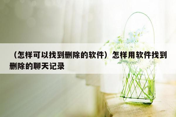 （怎样可以找到删除的软件）怎样用软件找到删除的聊天记录