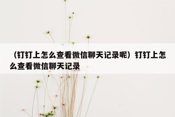 （钉钉上怎么查看微信聊天记录呢）钉钉上怎么查看微信聊天记录