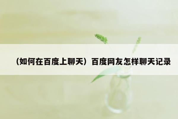 （如何在百度上聊天）百度网友怎样聊天记录