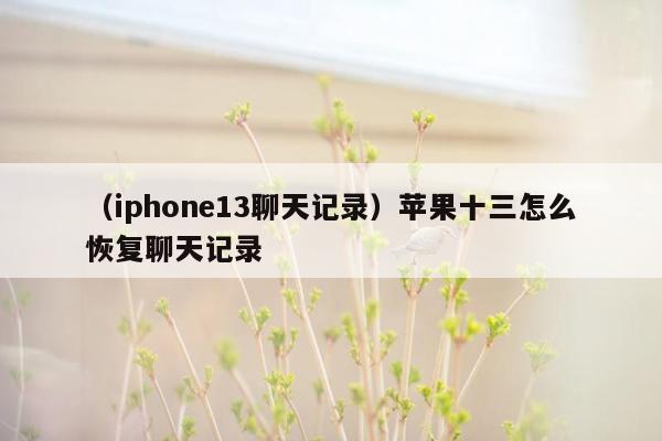 （iphone13聊天记录）苹果十三怎么恢复聊天记录