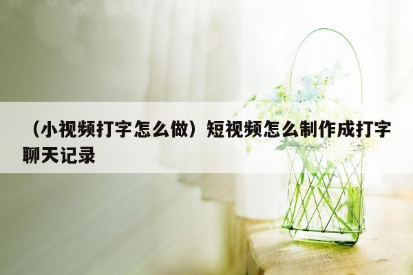 （小视频打字怎么做）短视频怎么制作成打字聊天记录