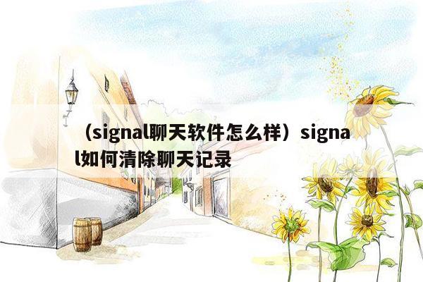 （signal聊天软件怎么样）signal如何清除聊天记录