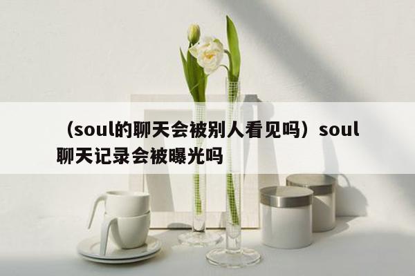 （soul的聊天会被别人看见吗）soul聊天记录会被曝光吗